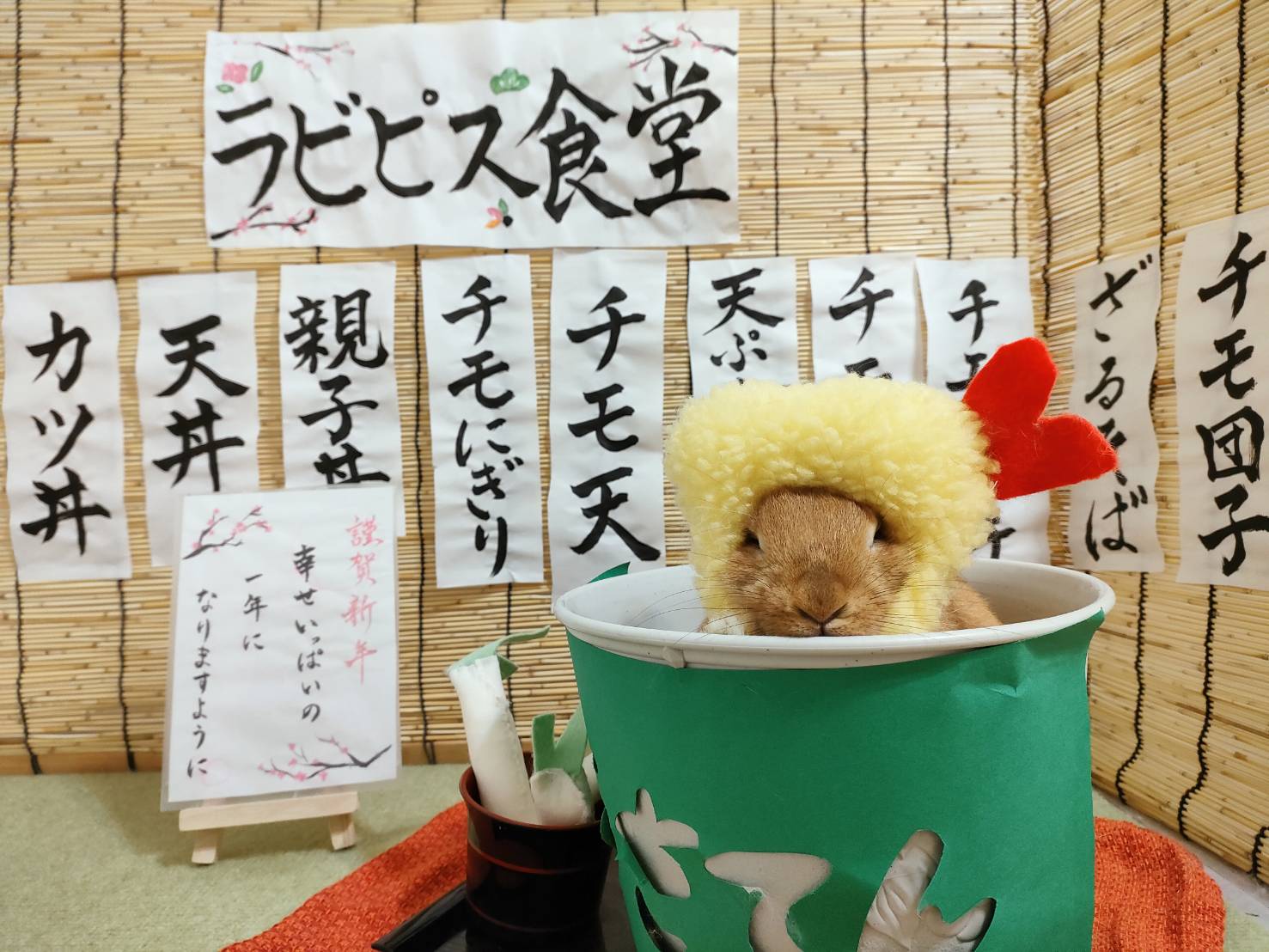 ダウンロード (2)